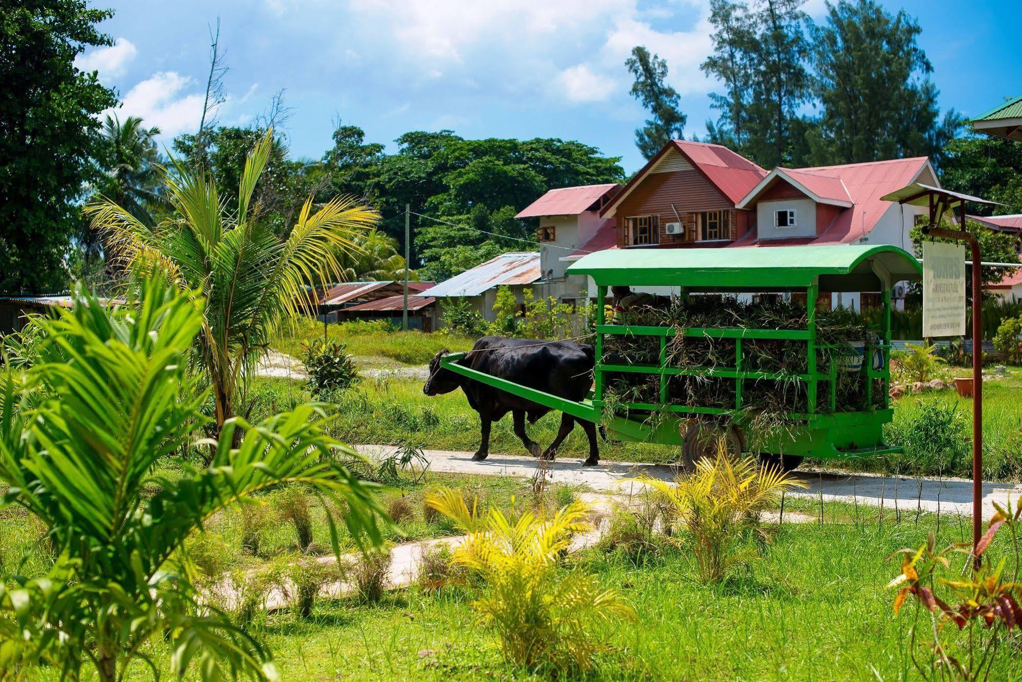 Zerof Self Catering Apartments La Digue Exteriör bild